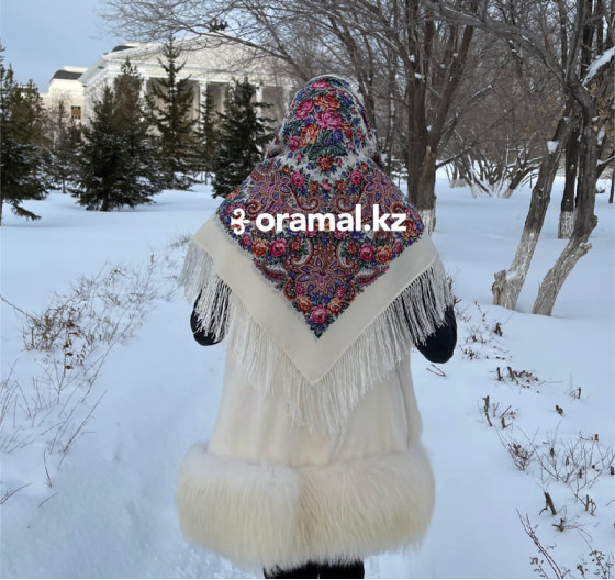 Лира вид 2